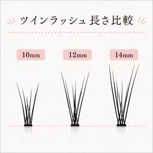 ツインラッシュ Cカール マツエク セルフ セ...の詳細画像2