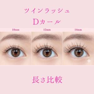 ツインラッシュ Dカール つけまつげ つけま ...の詳細画像1