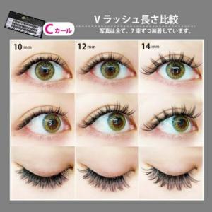Vラッシュ 48束入 束エクステ セルフ マツ...の詳細画像5