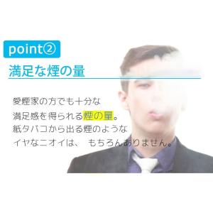 互換REP プルームテック用 互換バッテリー ...の詳細画像4