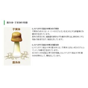 アガリクス 姫マツタケ 送料無料 岩出101株...の詳細画像2