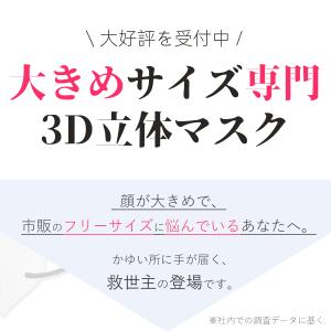 爆売れ中★マスク 大きめ 立体 不織布マスク ...の詳細画像2