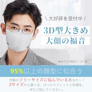 大人気★マスク 大きめ 立体マスク 冷感 不織...の詳細画像1