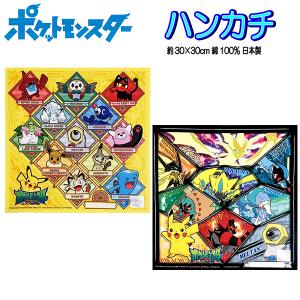 ハンカチ ポケモン サン＆ムーン 図鑑柄 ポケットモンスター キャラクター 男の子 女の子 子供 キッズ グッズの商品画像