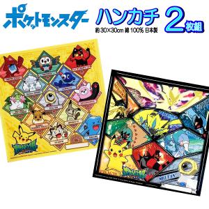 ハンカチ ポケモン 2枚 セット サン＆ムーン 図鑑柄 ポケットモンスター