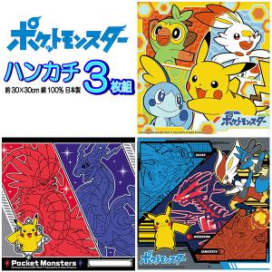 ポケモン　プラターヌ博士　マイクロファイバーミニタオル　ポケットモンスターX・Y ポケモン プラターヌ博士 マイクロファイバーミニタオル