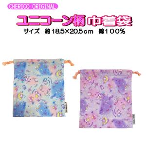 恐竜柄  巾着袋  コップ袋  給食袋 スケーター マチ付巾着 恐竜 ダイナソー 巾着袋 20×20cm ハッピー