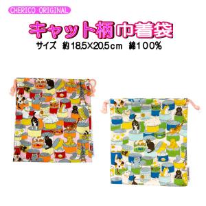 スケーター マチ付巾着 恐竜 ダイナソー 巾着袋 20×20cm ハッピー