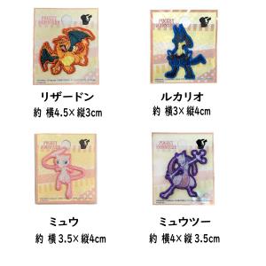 ポケモン ワンポイント ワッペン アイロン シ...の詳細画像2