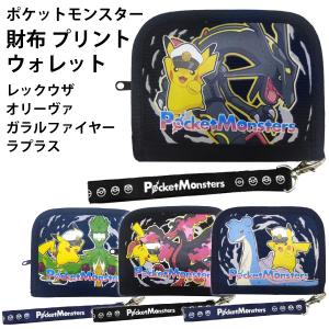 ポケモン - ポケモン ポケットモンスター グッズ ハンドタオル グラジオ シルヴァディ ポケモン ポケットモンスター グッズ ハンドタオル グラジオ