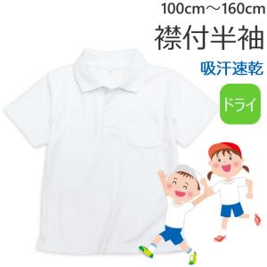 体操着 体操服 綿混 110〜160cm 半袖 ホワイト お受験 スクール 入園