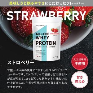 ホエイプロテイン 1kg WPC グラスフェッ...の詳細画像4