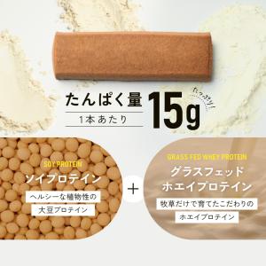 プロテインバー プロテイン バー 低糖質 ZE...の詳細画像2