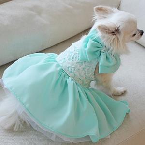 オーダーメイド犬服ドレス-プリンセスの瞳ヘッドアクセサリー