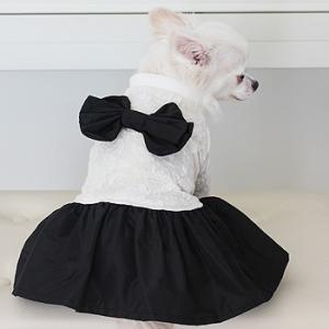 犬服 ブランド セレブの商品一覧 通販 Yahoo ショッピング