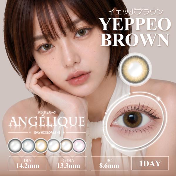 カラコン ワンデー アンジェリークワンデー【イェッポブラウン】 10枚入り 1箱 ANGELIQUE...