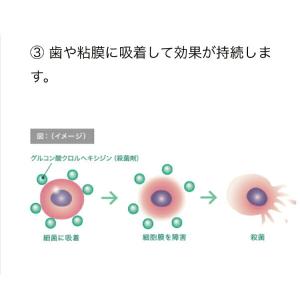 うがい薬 コンクールF マウスウォッシュ 10...の詳細画像5
