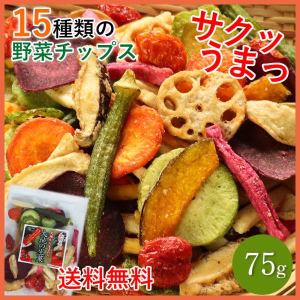クーポンあり 大地の生菓 野菜チップス 15種類の野菜チップス 75g 野菜スナック お菓子 人気 ...