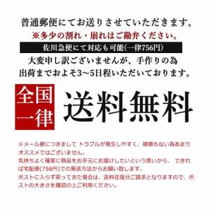 ドライフルーツ ドライクランベリー 150g ...の詳細画像4