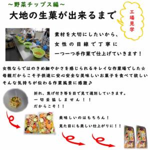ドライフルーツ ドライクランベリー 150g ...の詳細画像5
