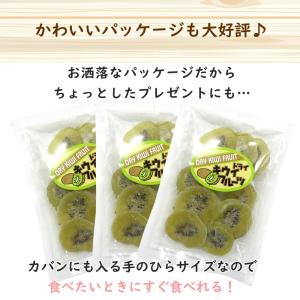 ドライフルーツ ドライキウイ 100g 大地の...の詳細画像4