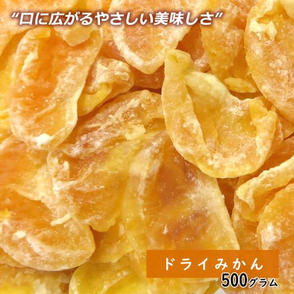 父の日 2024 お菓子 ギフト プレゼント 大地の生菓 ドライみかん 500g ドライフルーツ 手...