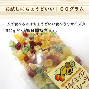 ドライフルーツ ドライミックスフルーツ 100...の詳細画像3