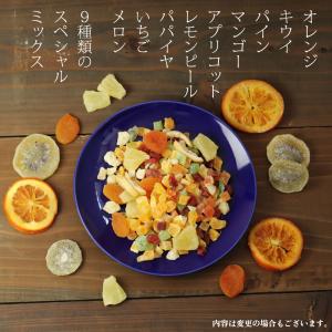 ドライフルーツ 福袋 ミックス 400g 大地...の詳細画像3