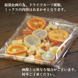 ドライフルーツ 福袋 ミックス 400g 大地...の詳細画像4