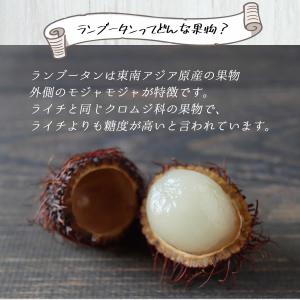 ドライフルーツ ドライランブータン 100g ...の詳細画像1