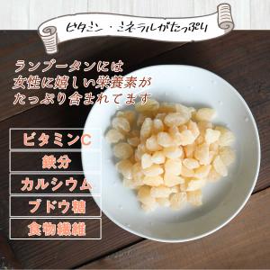 ドライフルーツ ドライランブータン 100g ...の詳細画像3