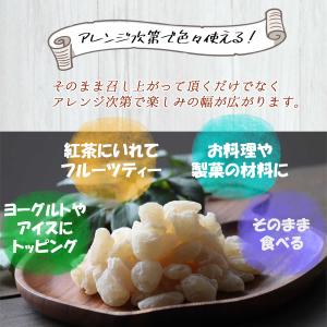 ドライフルーツ ドライランブータン 100g ...の詳細画像4