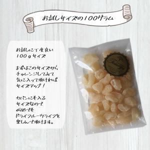 ドライフルーツ ドライランブータン 100g ...の詳細画像5
