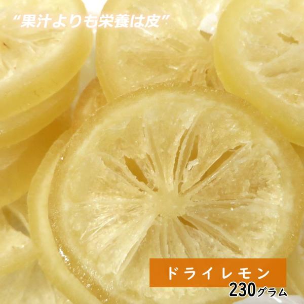 父の日 2024 お菓子 ギフト プレゼント 大地の生菓 ドライレモン 230g ドライフルーツ 手...