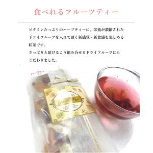 ハーブティー フルーツティー 4個入り 大地の...の詳細画像4