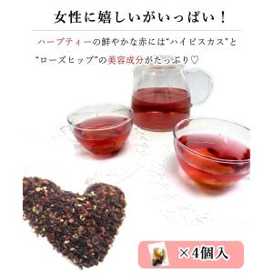 ハーブティー フルーツティー 4個入り 大地の...の詳細画像5