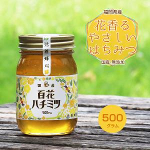 日本みつばち 国産はちみつ 純粋はちみつ 非加熱 蜂蜜 無添加 無農薬