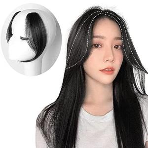 Hiye 人毛100 部分ウィッグ 手植え リアル 分け目 前髪 ヘアーピース 横8cm縦12cm バッツん栗色 30cm Bhinternalmedicine Com