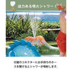 プール ビニールプール すべり台付き シャワー...の詳細画像4