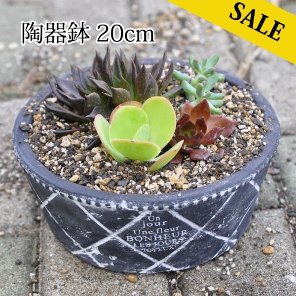 植木鉢 陶器 寄せ植え 中型 オシャレ Mサイズ 円形型 ガーデニング 鉢 植え替え 花 多肉 多肉...