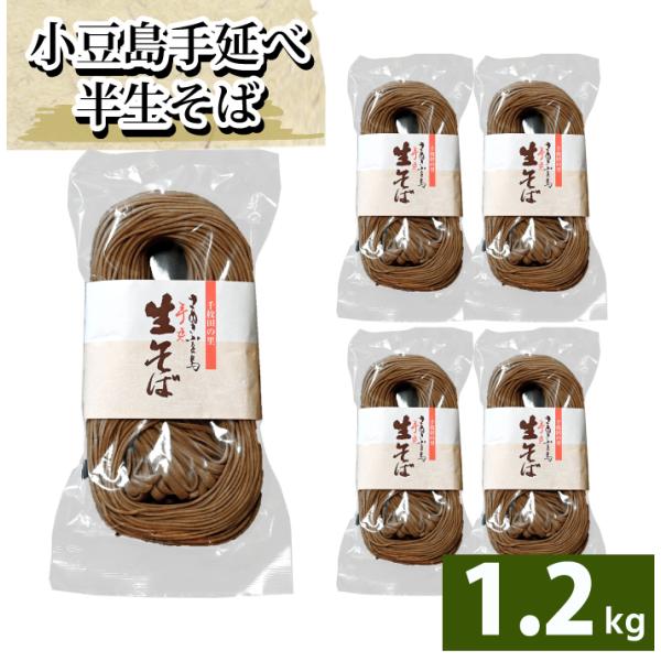 【６月より受注再開】船波製麺所  そば 半生そば 讃岐 店長いち押し 250g ×5袋セット 1.2...