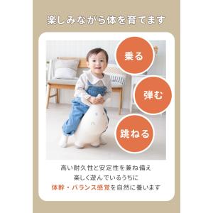 スキッピー トライコ バランストイ バランスボ...の詳細画像2