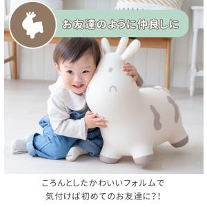 スキッピー トライコ バランストイ バランスボ...の詳細画像3