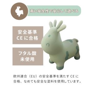 スキッピー トライコ バランストイ バランスボ...の詳細画像4