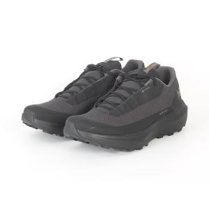 ARC'TERYX（アークテリクス） トレッキングシューズ メンズ ノーバン