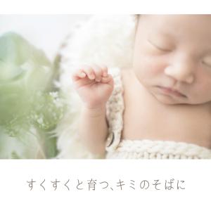 【森のぬくもりメモリアル】命名書 木製 赤ちゃ...の詳細画像1