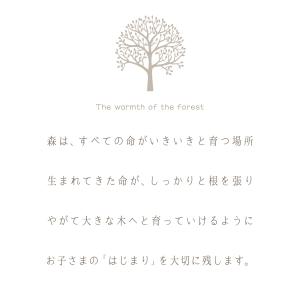 【森のぬくもりメモリアル】命名書 木製 赤ちゃ...の詳細画像2