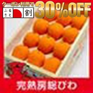 【終売】完熟（露地）房総びわ　２Ｌサイズ１２個 【ふるさと名物商品】