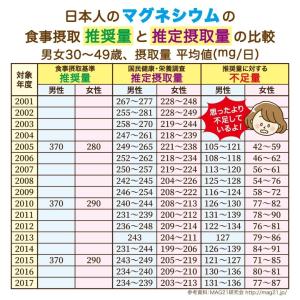 グレートマグネシウム 高濃度マグネシウム 50...の詳細画像4