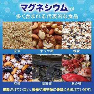 グレートマグネシウム 高濃度マグネシウム 50...の詳細画像3